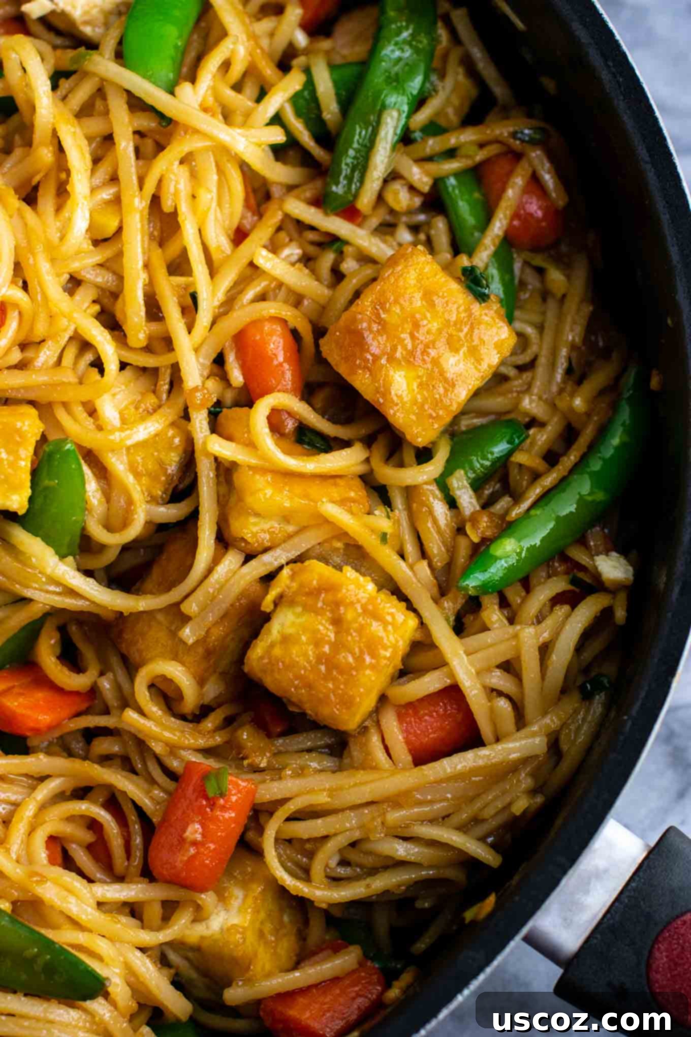 Vibrant Tofu Noodle Stir-Fry 11 Close-up of a vibrant vegan stir fry noodles dish, featuring tofu, sugar snap peas, carrots, and green onions, bathed in homemade sauce.