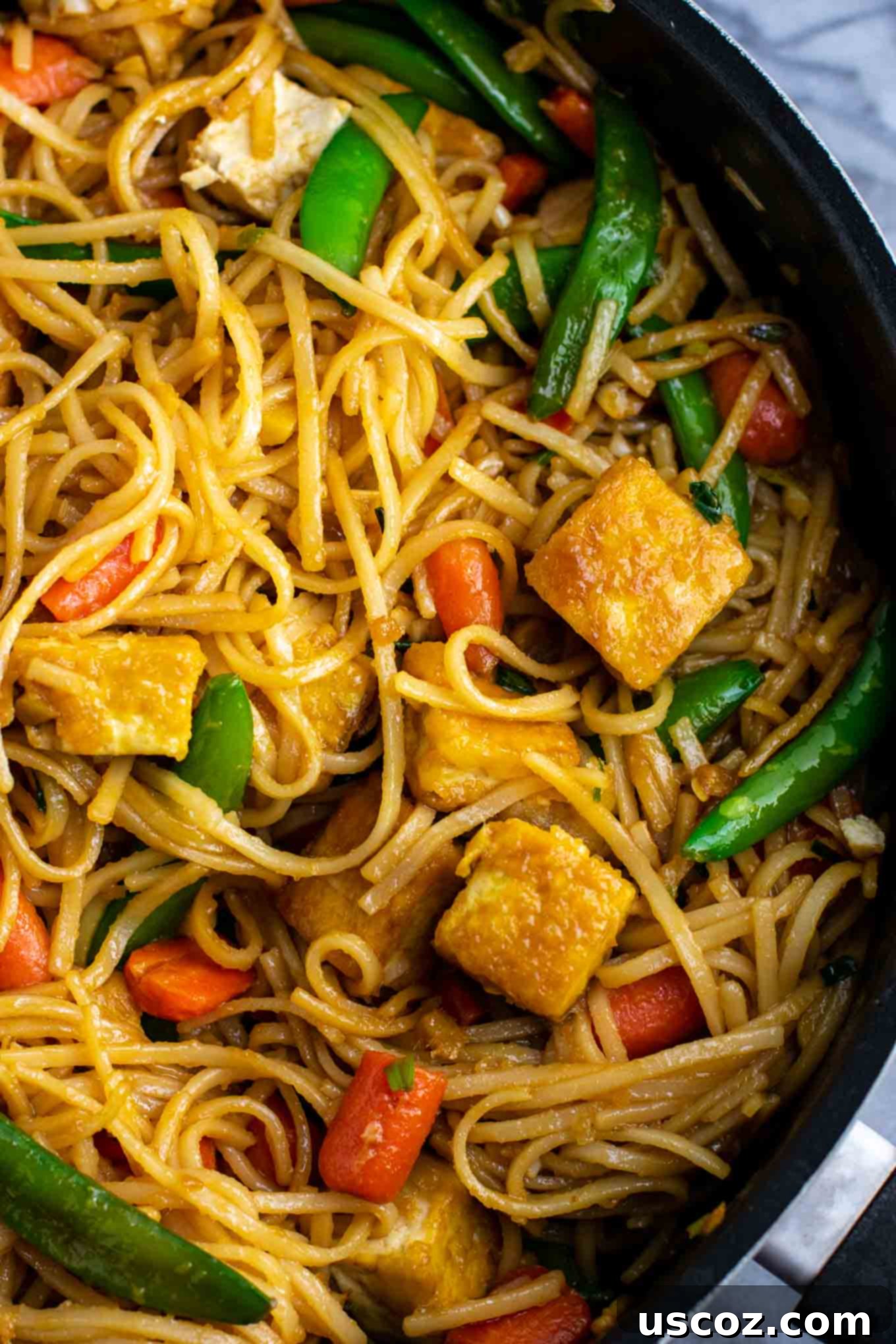 Vibrant Tofu Noodle Stir-Fry 3 Platter of Tofu Stir Fry Noodles with sugar snap peas, carrots, and green onions. Highlighted is the rich homemade stir fry sauce.