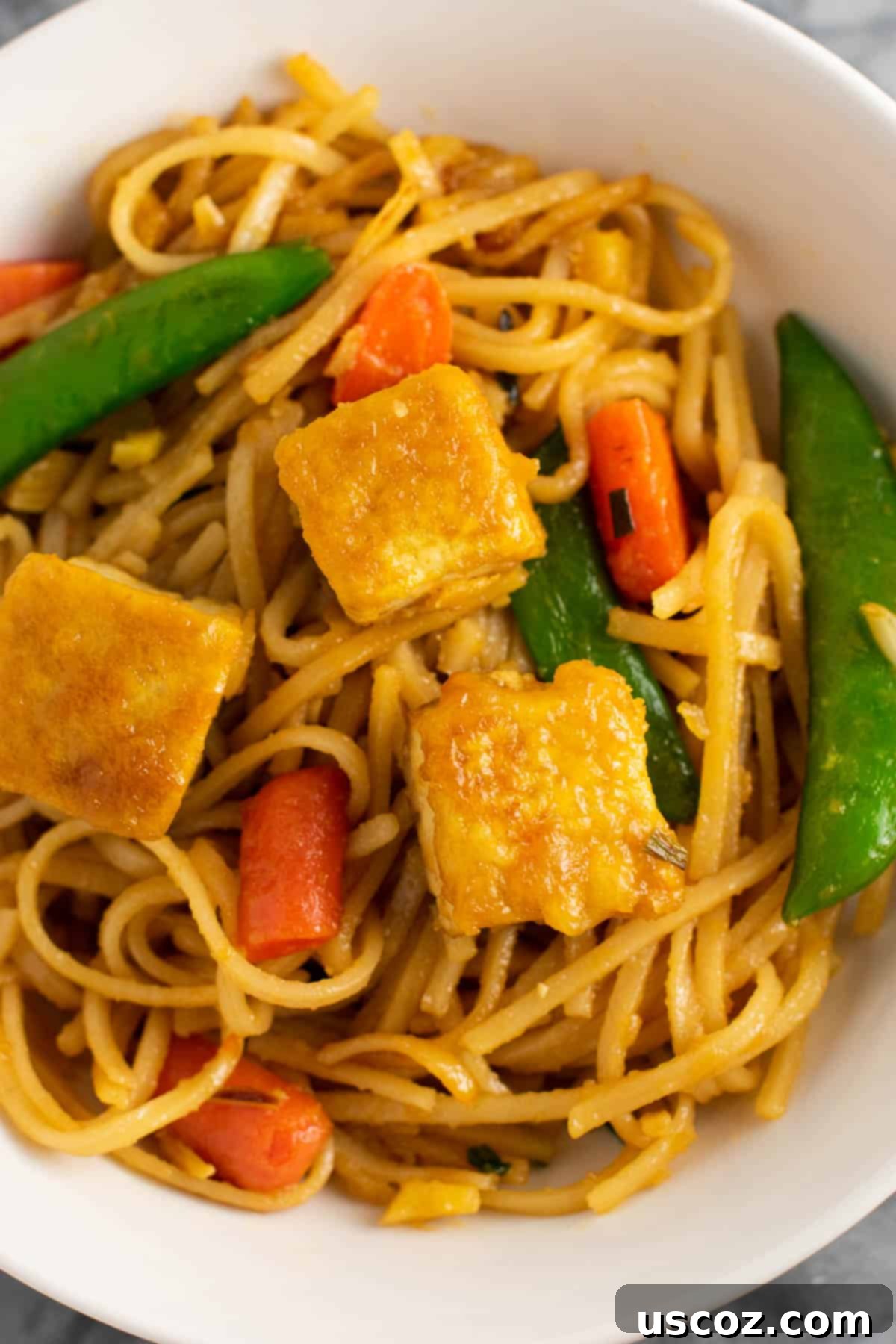 Vibrant Tofu Noodle Stir-Fry 9 A close-up shot of the finished tofu stir fry noodles, showcasing the rich sauce and fresh ingredients.