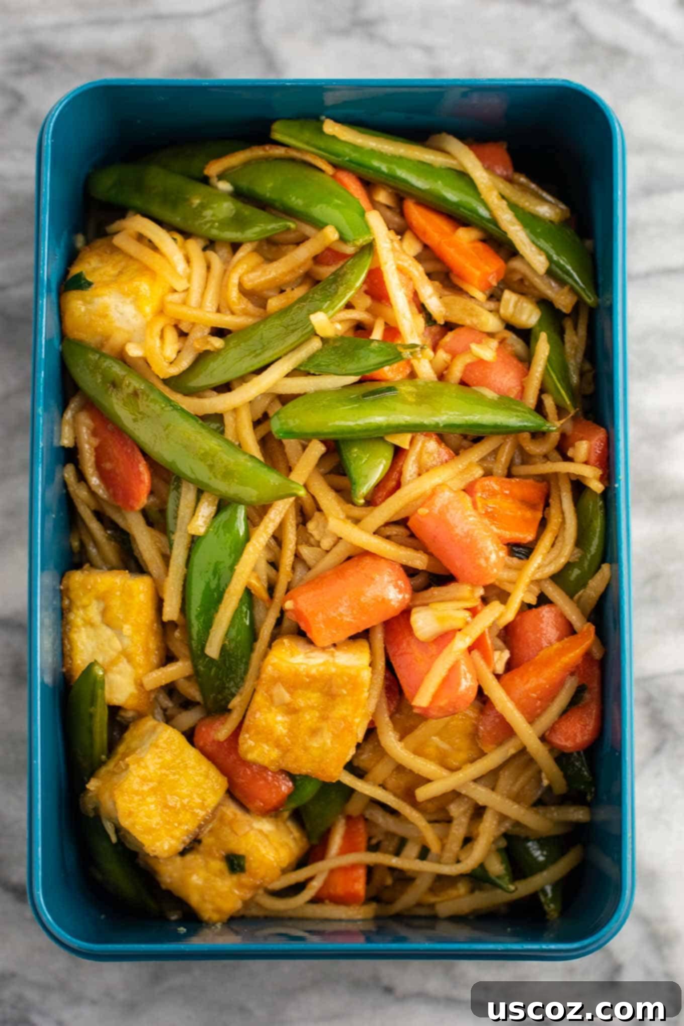 Vibrant Tofu Noodle Stir-Fry 10 Tofu stir fry noodles perfectly portioned into glass meal prep containers for easy storage.