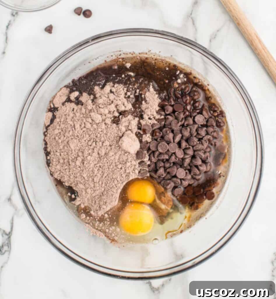 Easy Cake Mix Brownies 6 Ingredients for brownies: eggs, oil, chocolate cake mix, and chocolate chips in a mixing bowl before combining.