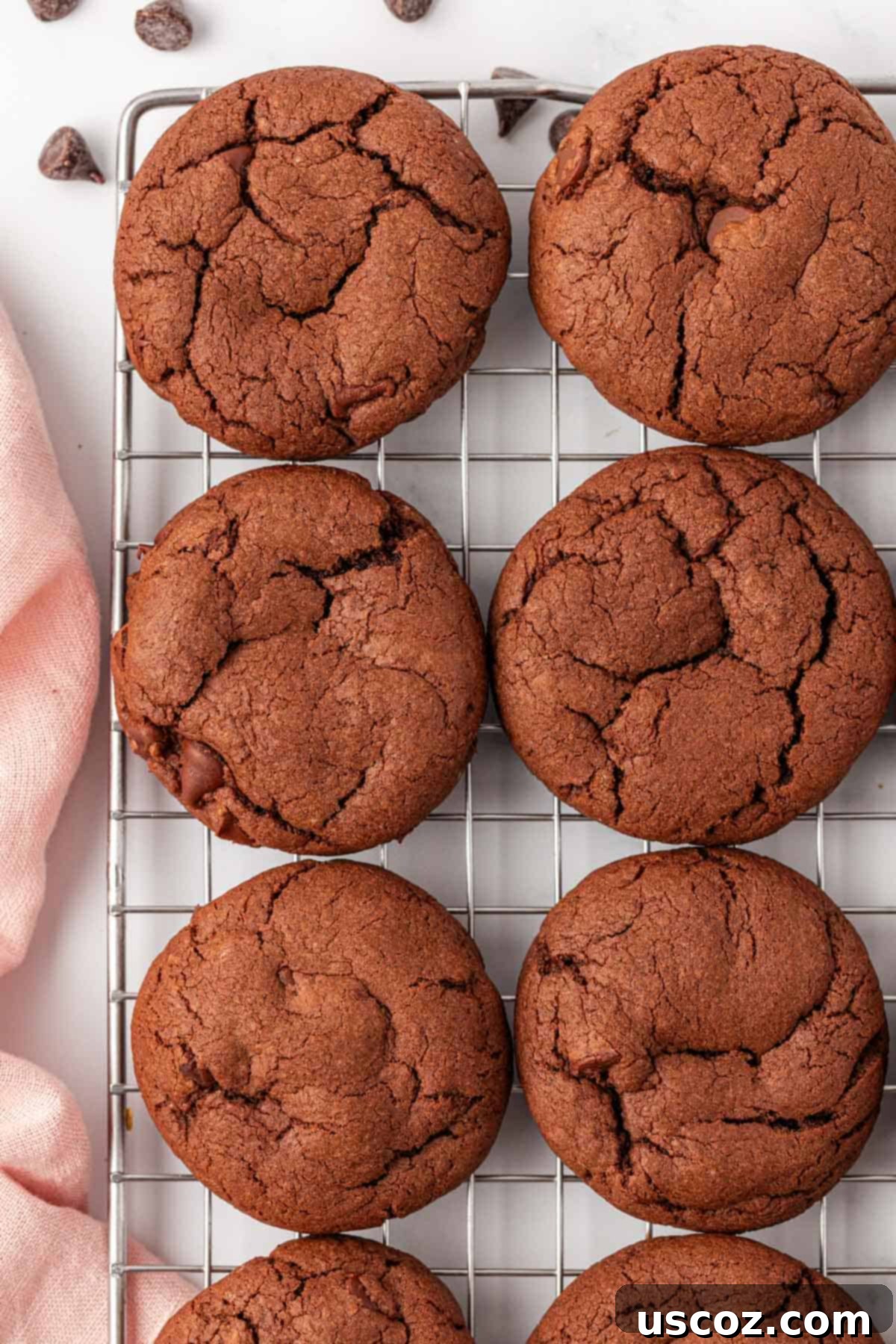 Decadent Chocolate Cake Mix Cookies 13 freshly baked chocolate cake mix cookies arranged on a wire cooling rack