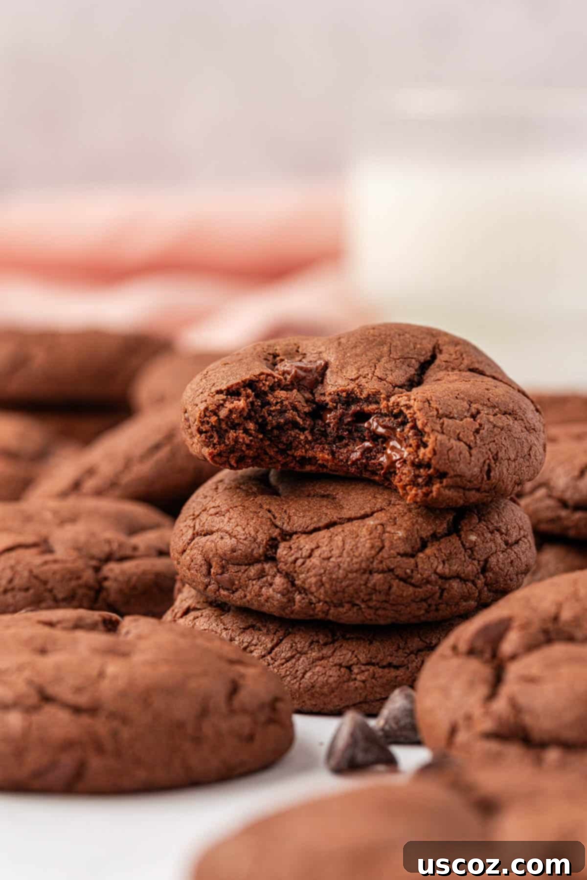 Decadent Chocolate Cake Mix Cookies 16 a chocolate cake mix cookie with a bite taken out, showing its fudgy interior and chocolate chips