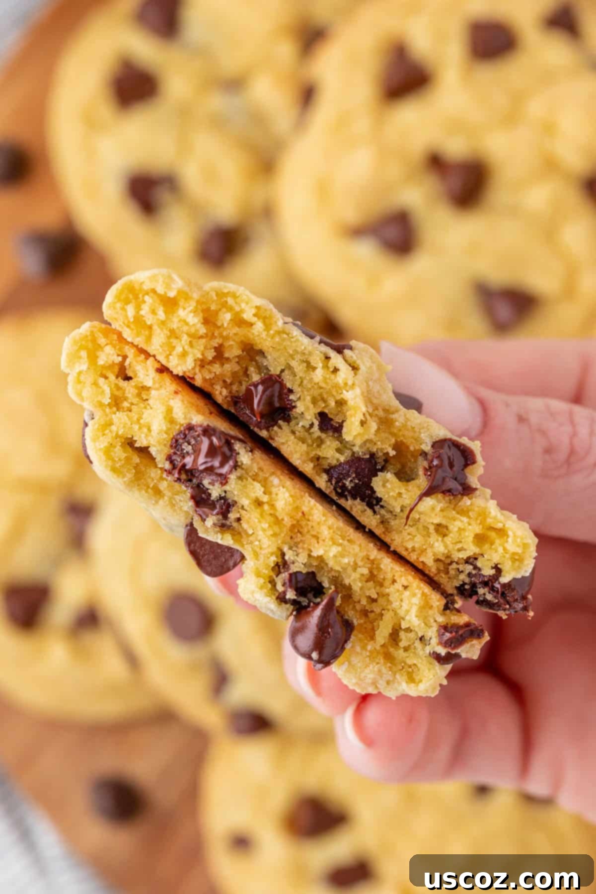 Shortcut Chocolate Chip Cookies 14 Close-up of a single cake mix chocolate chip cookie on a plate.