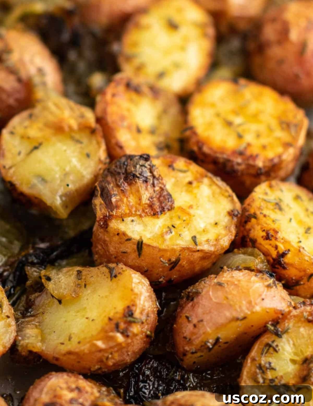 Caramelized Onion and Potato Medley 2 Delicious oven-roasted potatoes and onions side dish, golden and crispy.