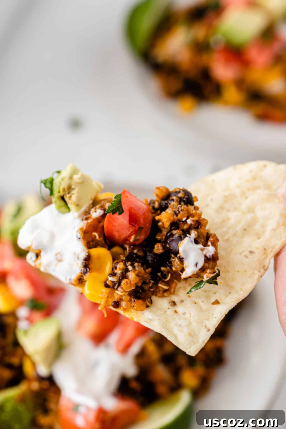 Wholesome Quinoa Enchilada Bake 11 A delicious scoop of enchilada casserole perfectly balanced on a tortilla chip, ready for a satisfying bite.
