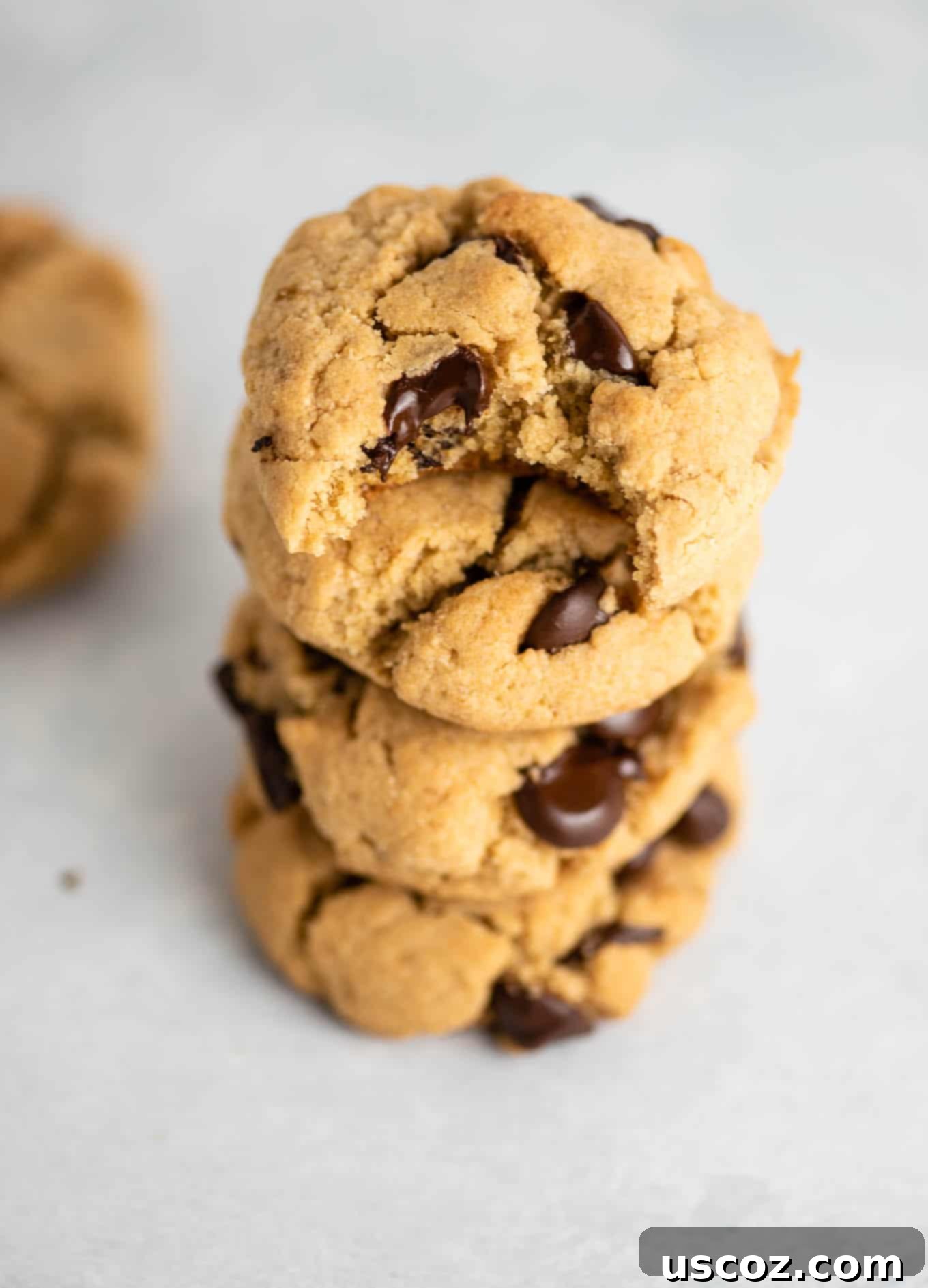 dairy free gluten free cookies - rich chocolate chips and perfect texture