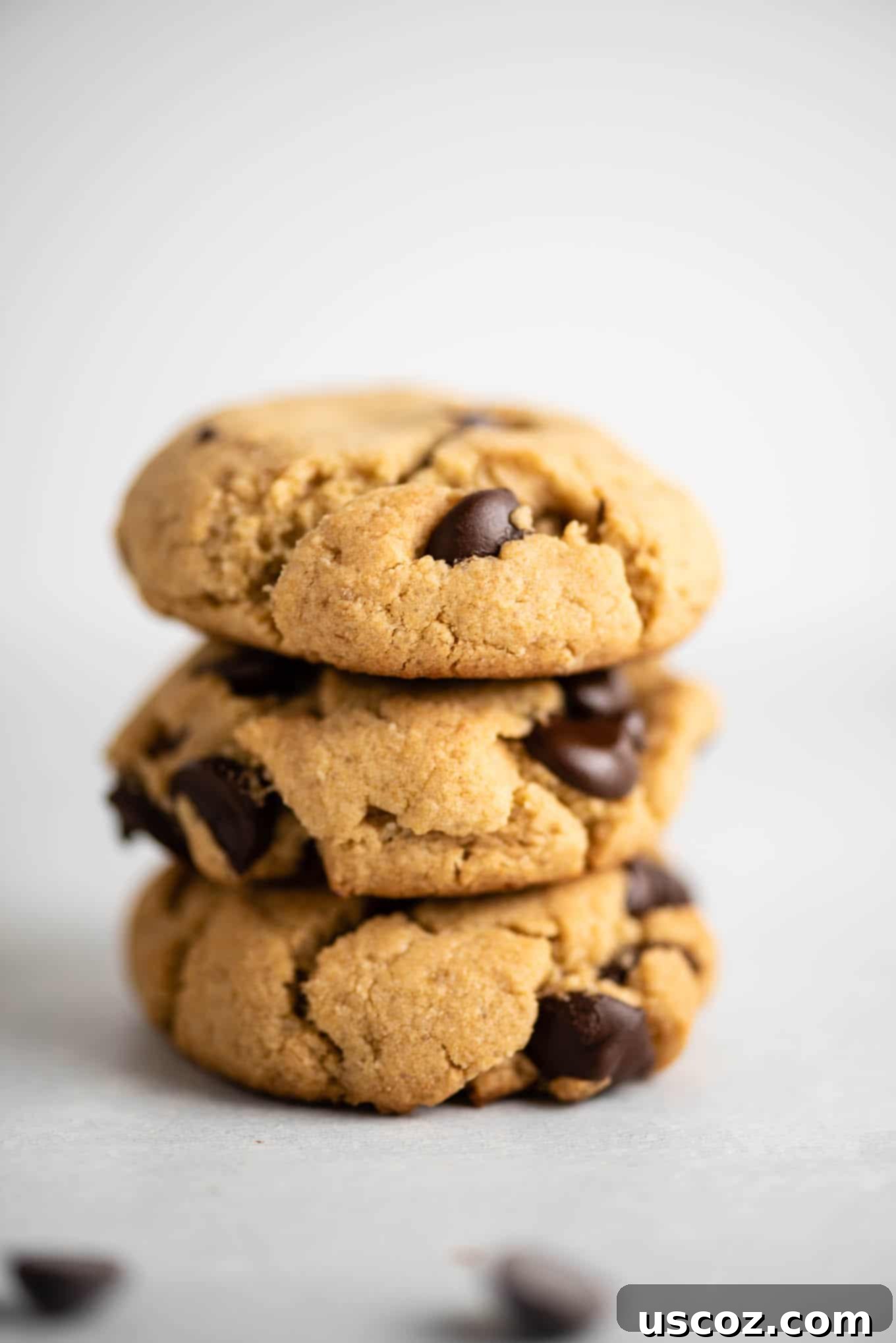 vegan gluten free chocolate chip cookies - close up of a perfect cookie