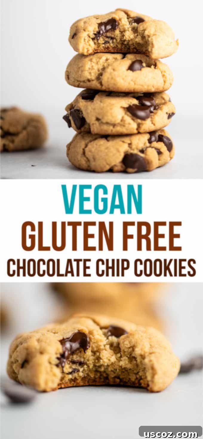 Vegan GF Chocolate Chip Cookies recipe card image