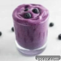 Blueberry Banana Bliss Smoothie 7 A close-up shot of a blueberry smoothie in a glass, topped with fresh blueberries.