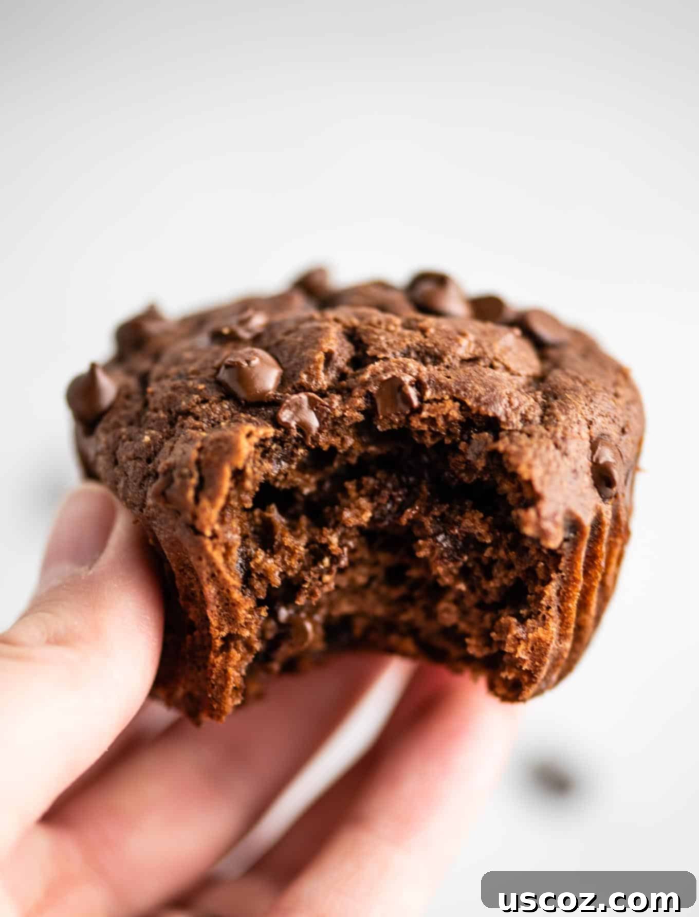 Irresistible Gluten-Free Chocolate Muffins 2 gluten free chocolate muffins with a bite taken out