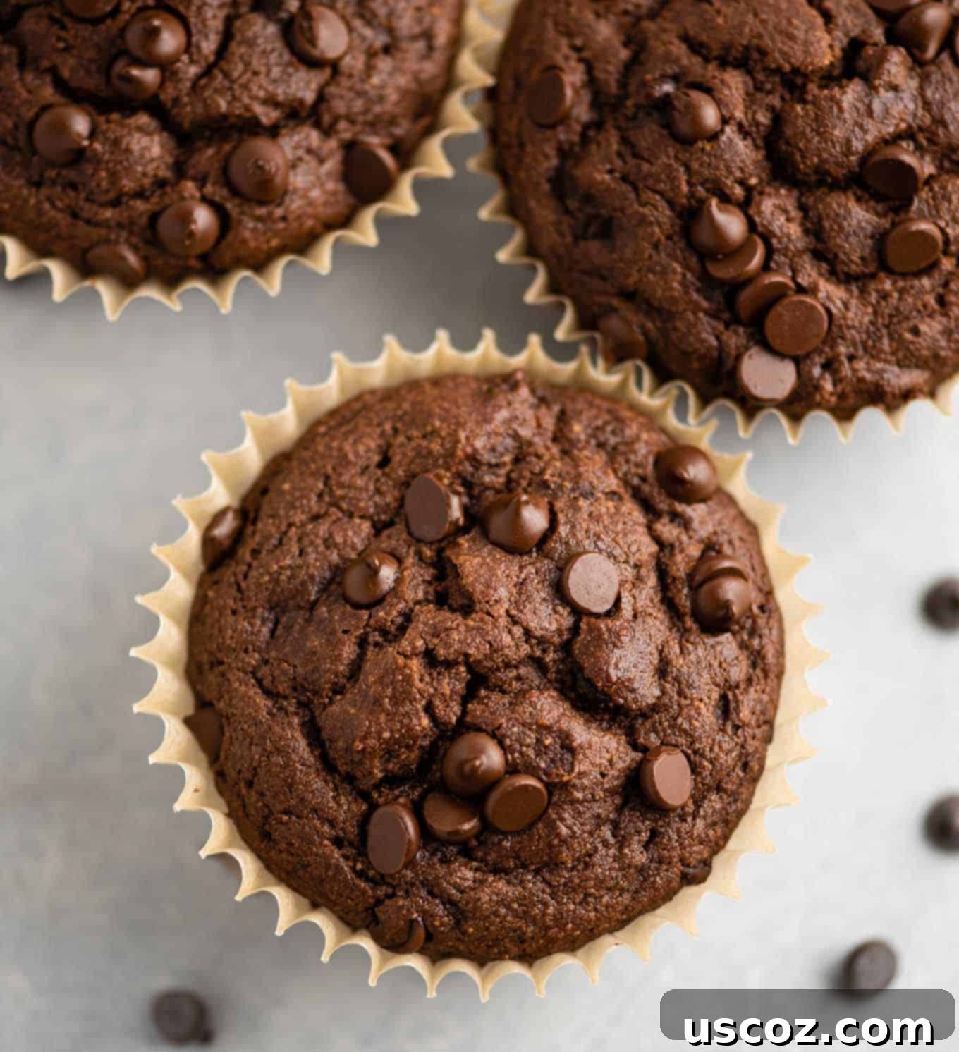 Irresistible Gluten-Free Chocolate Muffins 4 gluten free chocolate muffins from an overhead view topped with melted mini chocolate chips