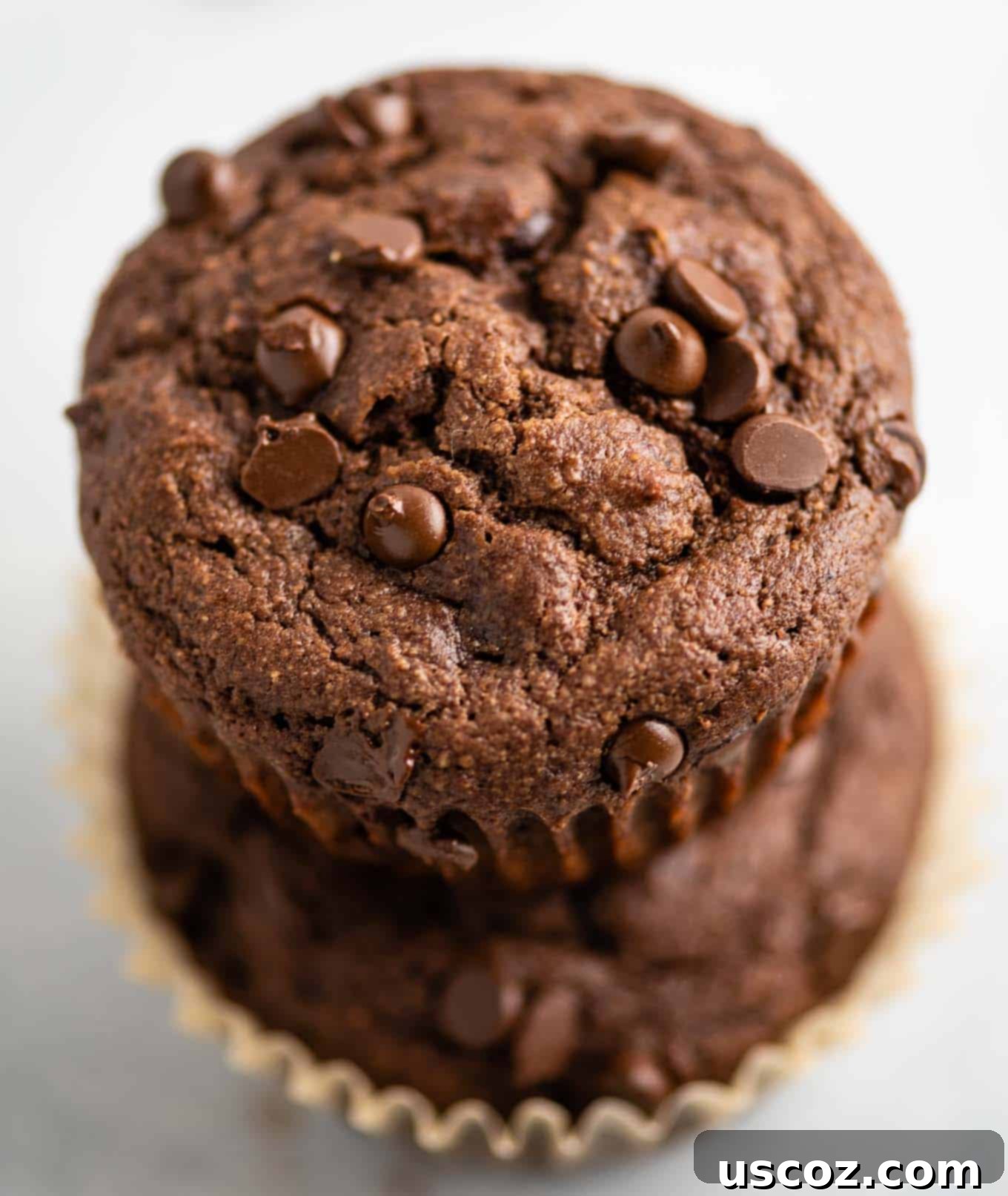 Irresistible Gluten-Free Chocolate Muffins 5 two stacked chocolate muffins