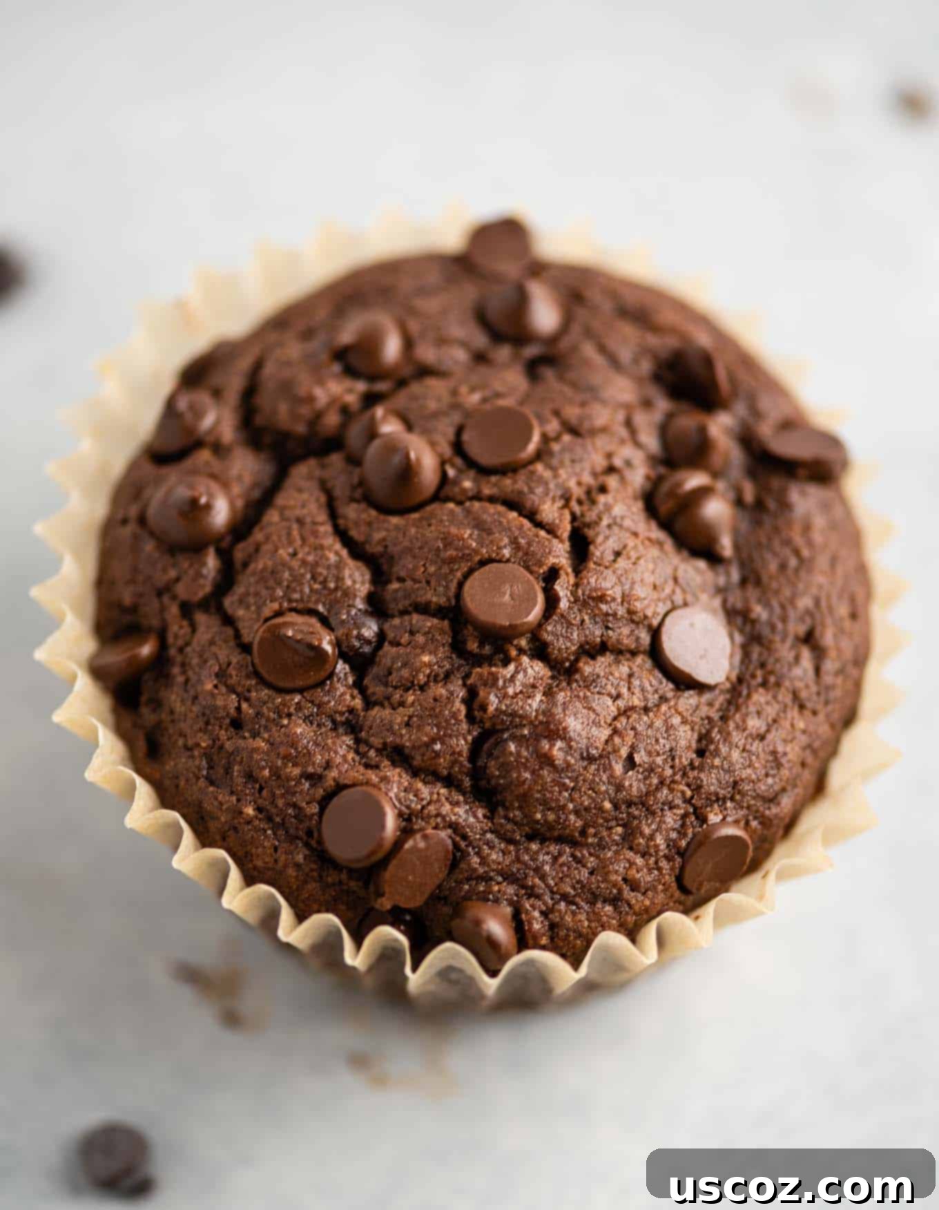 Irresistible Gluten-Free Chocolate Muffins 8 single gluten free chocolate muffin in a parchment paper muffin liner
