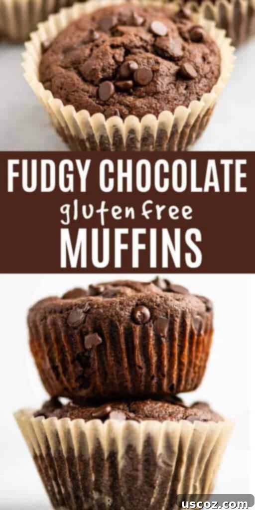 Irresistible Gluten-Free Chocolate Muffins 9 image with text "fudgy chocolate gluten free muffins"