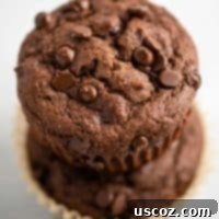 Irresistible Gluten-Free Chocolate Muffins 10 The BEST gluten free chocolate muffins - perfectly soft, light, not dense, not dry, and not too sweet. They are literally the perfect chocolate muffin!