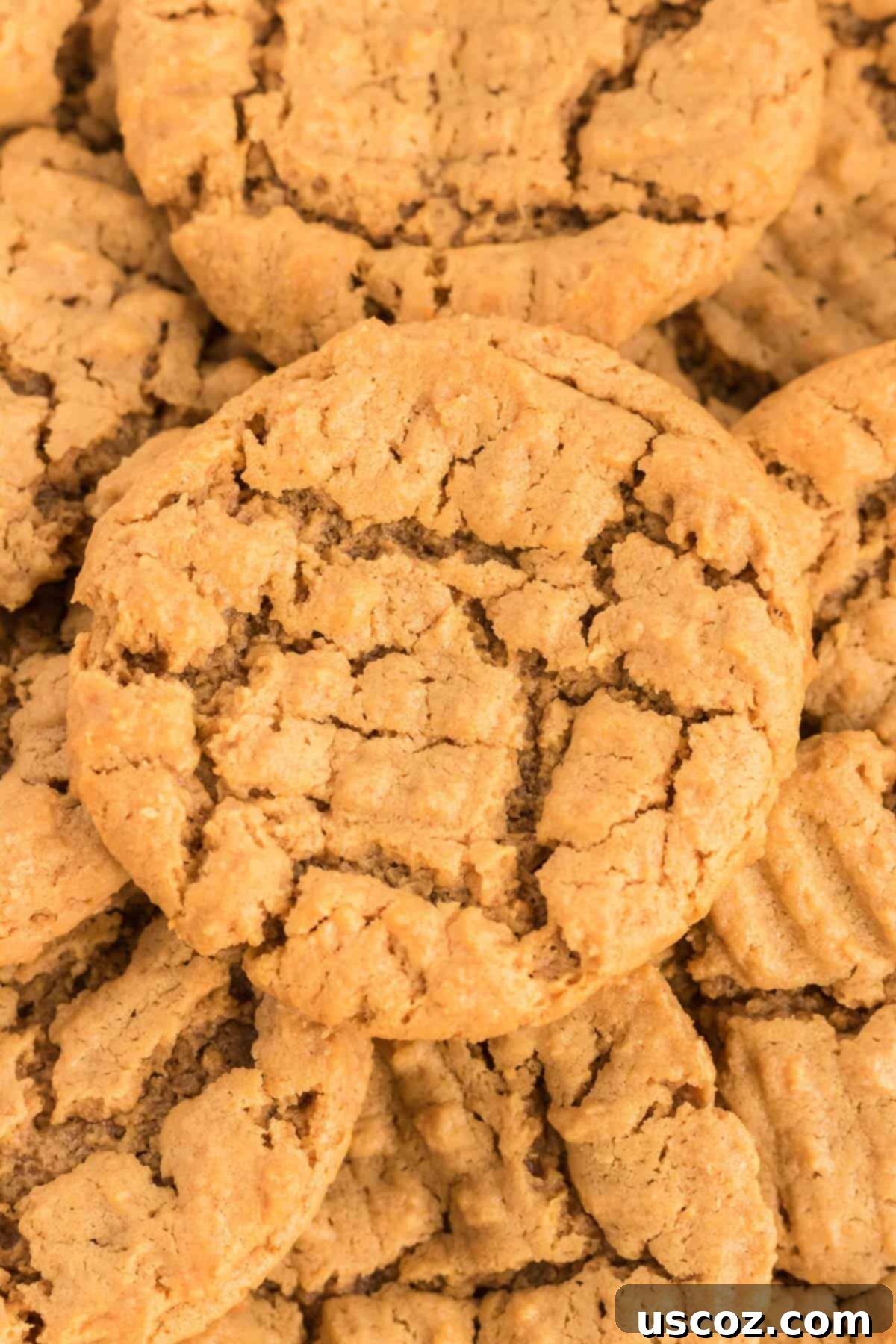 Irresistible Gluten-Free Peanut Butter Cookies 8 A single, perfectly baked gluten free peanut butter cookie, golden brown with a distinct criss-cross pattern, showcasing its inviting texture.