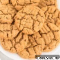 Irresistible Gluten-Free Peanut Butter Cookies 10 A close-up shot of a single gluten free peanut butter cookie with a distinctive criss-cross pattern, on a white plate, highlighting its rich texture and golden-brown perfection.