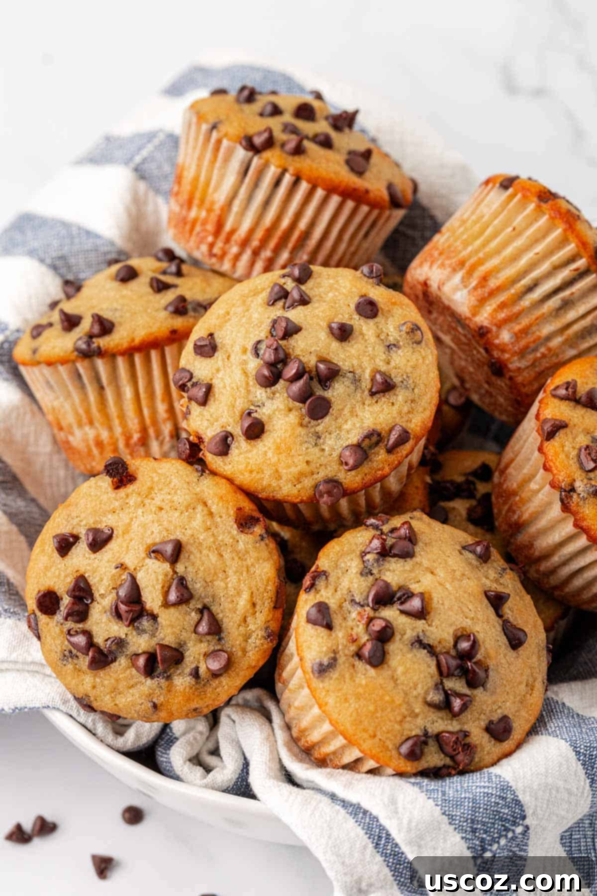 Moist Greek Yogurt Chocolate Chip Muffins 2 greek yogurt chocolate chip muffins