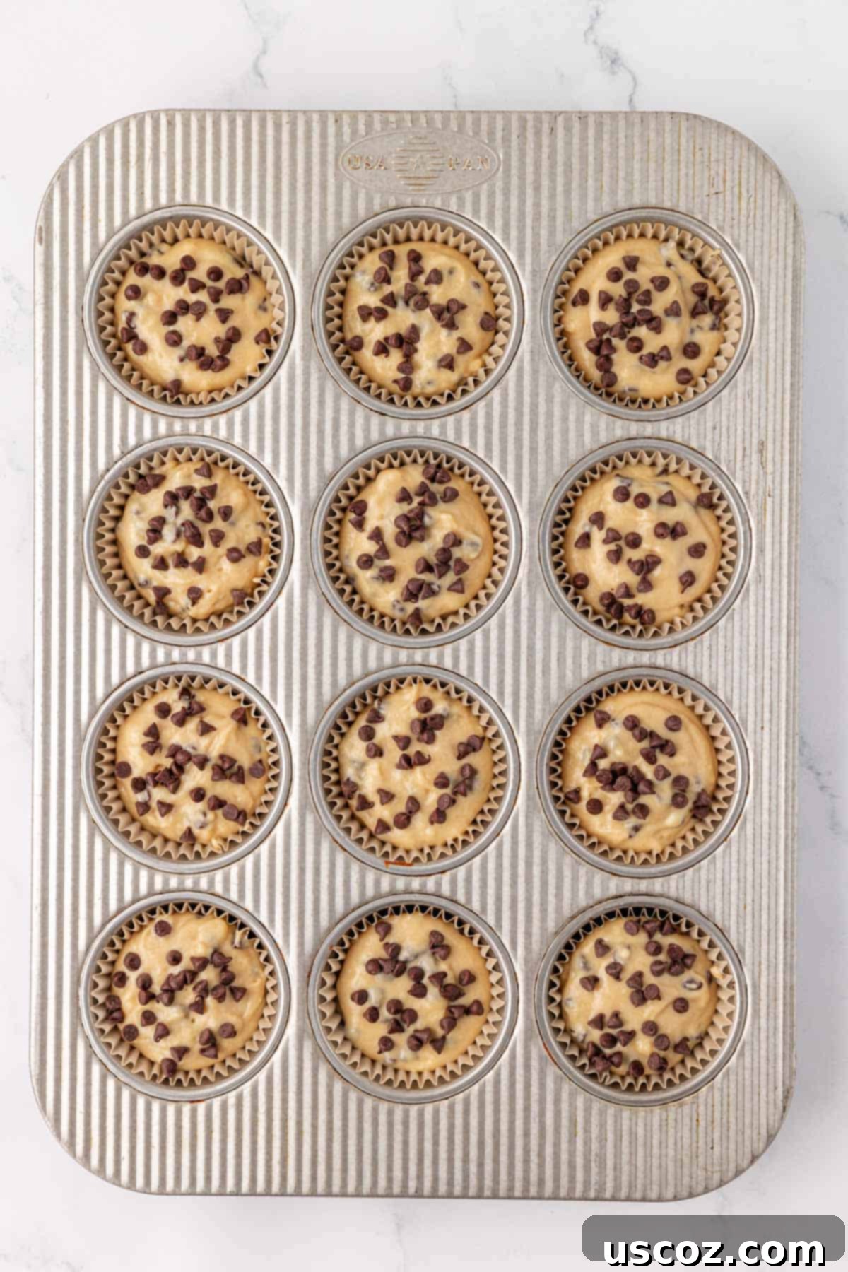 Moist Greek Yogurt Chocolate Chip Muffins 15 greek yogurt chocolate chip muffin batter in a mufifn tin