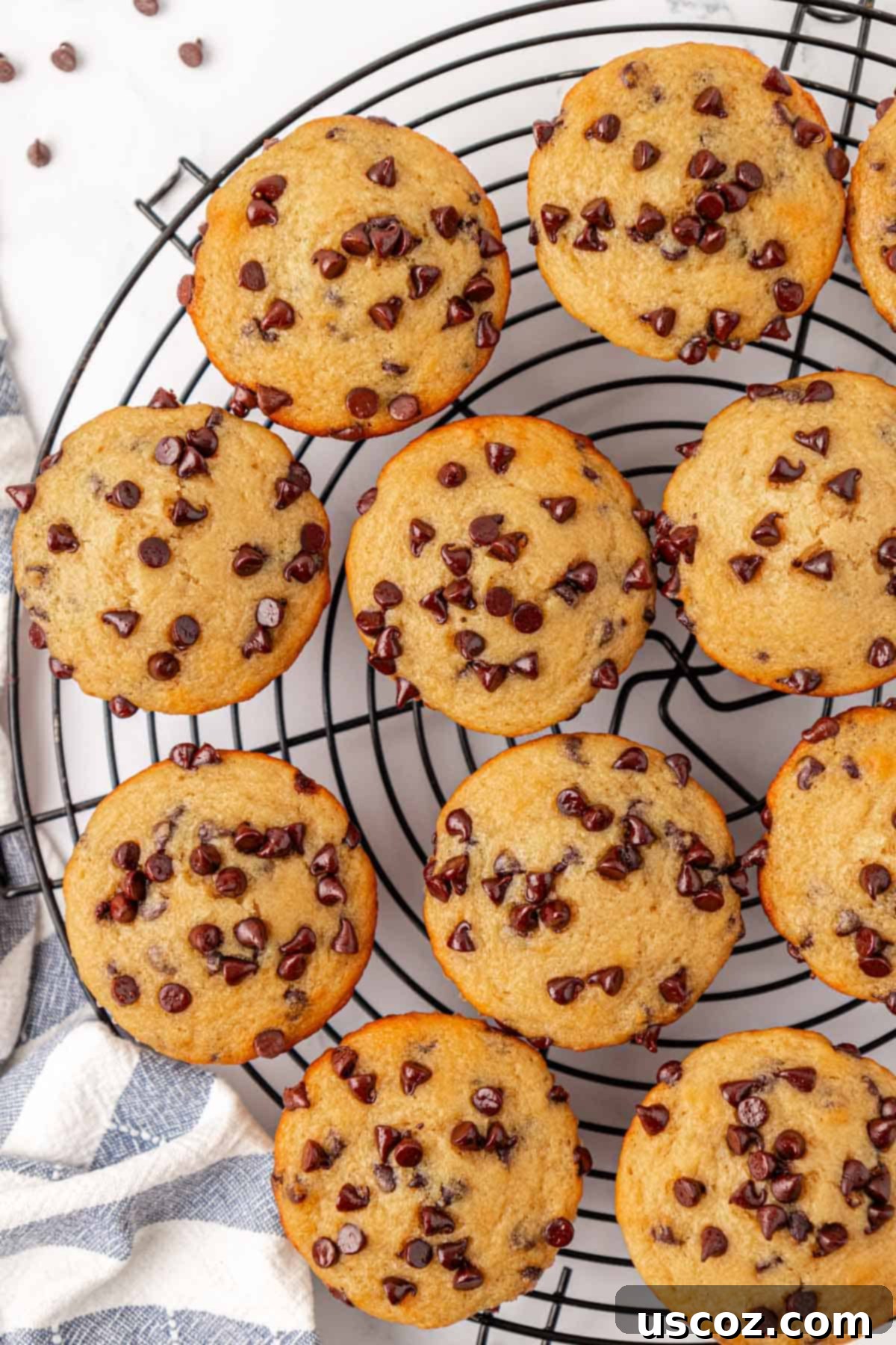 Moist Greek Yogurt Chocolate Chip Muffins 16 greek yogurt chocolate chip muffins