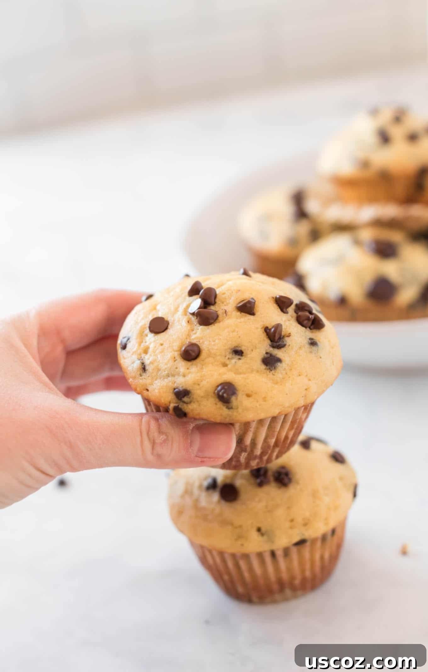 Moist Greek Yogurt Chocolate Chip Muffins 17 a hand grabbing a muffin