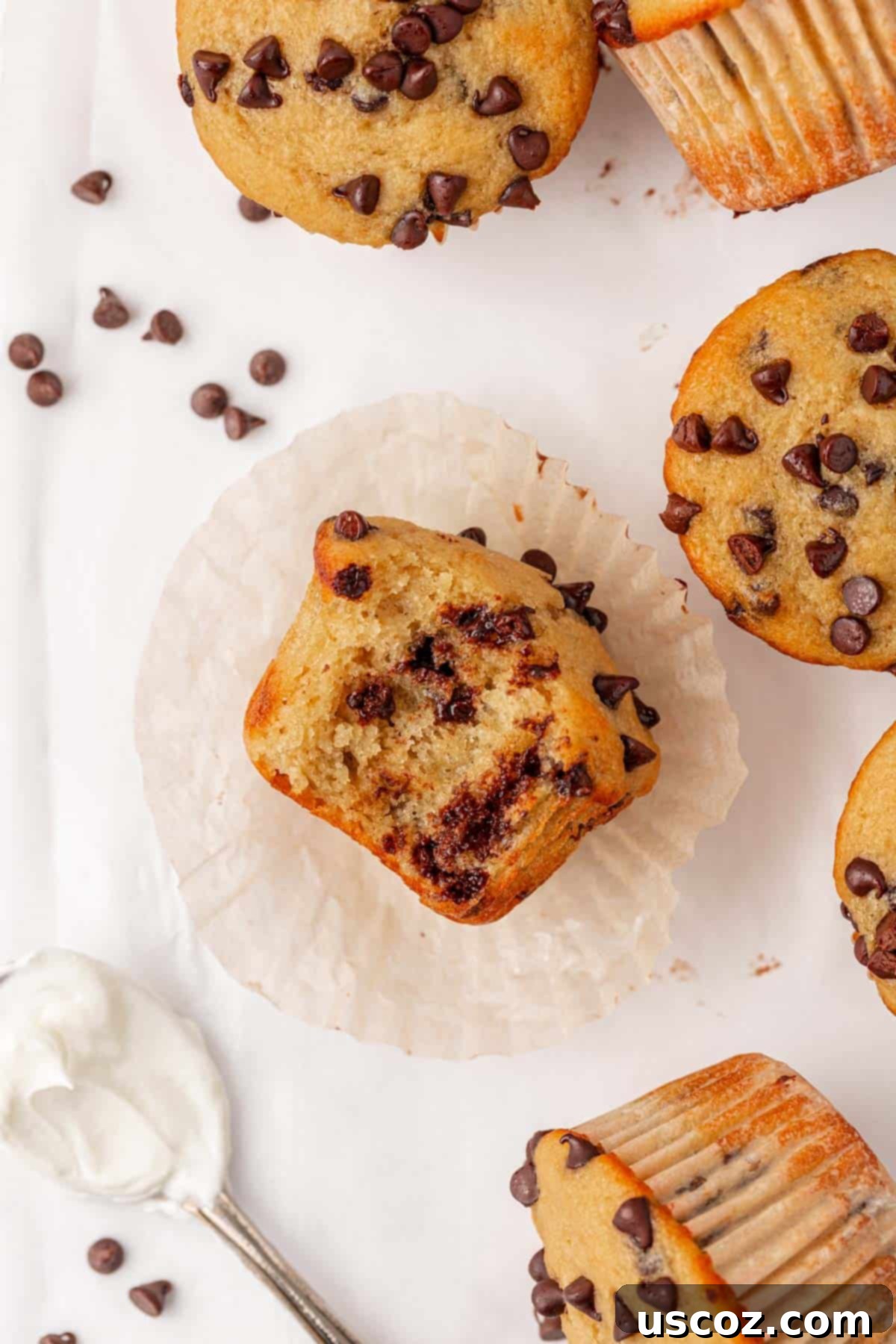 Moist Greek Yogurt Chocolate Chip Muffins 18 greek yogurt chocolate chip muffins