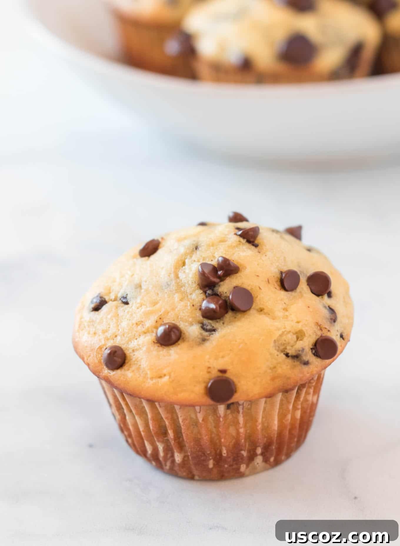 Moist Greek Yogurt Chocolate Chip Muffins 19 greek yogurt chocolate chip muffin