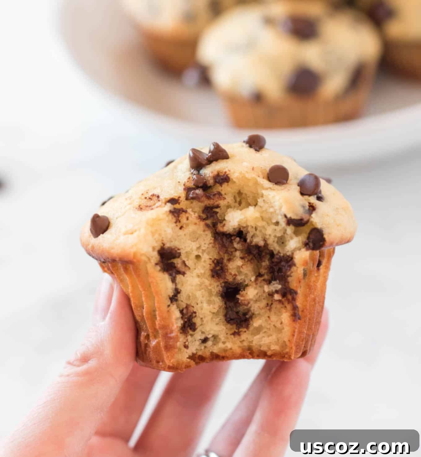 Moist Greek Yogurt Chocolate Chip Muffins 3 greek yogurt chocolate chip muffin with bite taken out