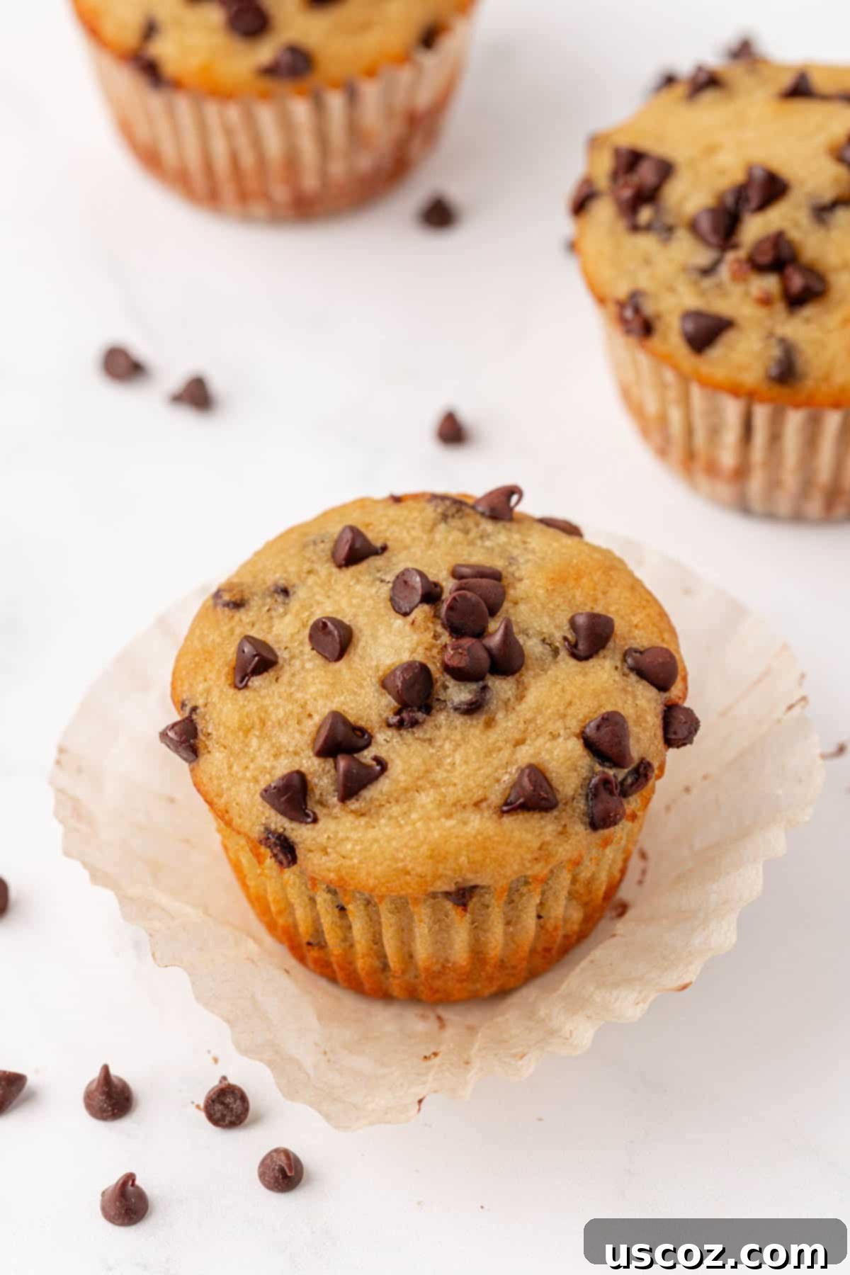 Moist Greek Yogurt Chocolate Chip Muffins 21 greek yogurt chocolate chip muffins