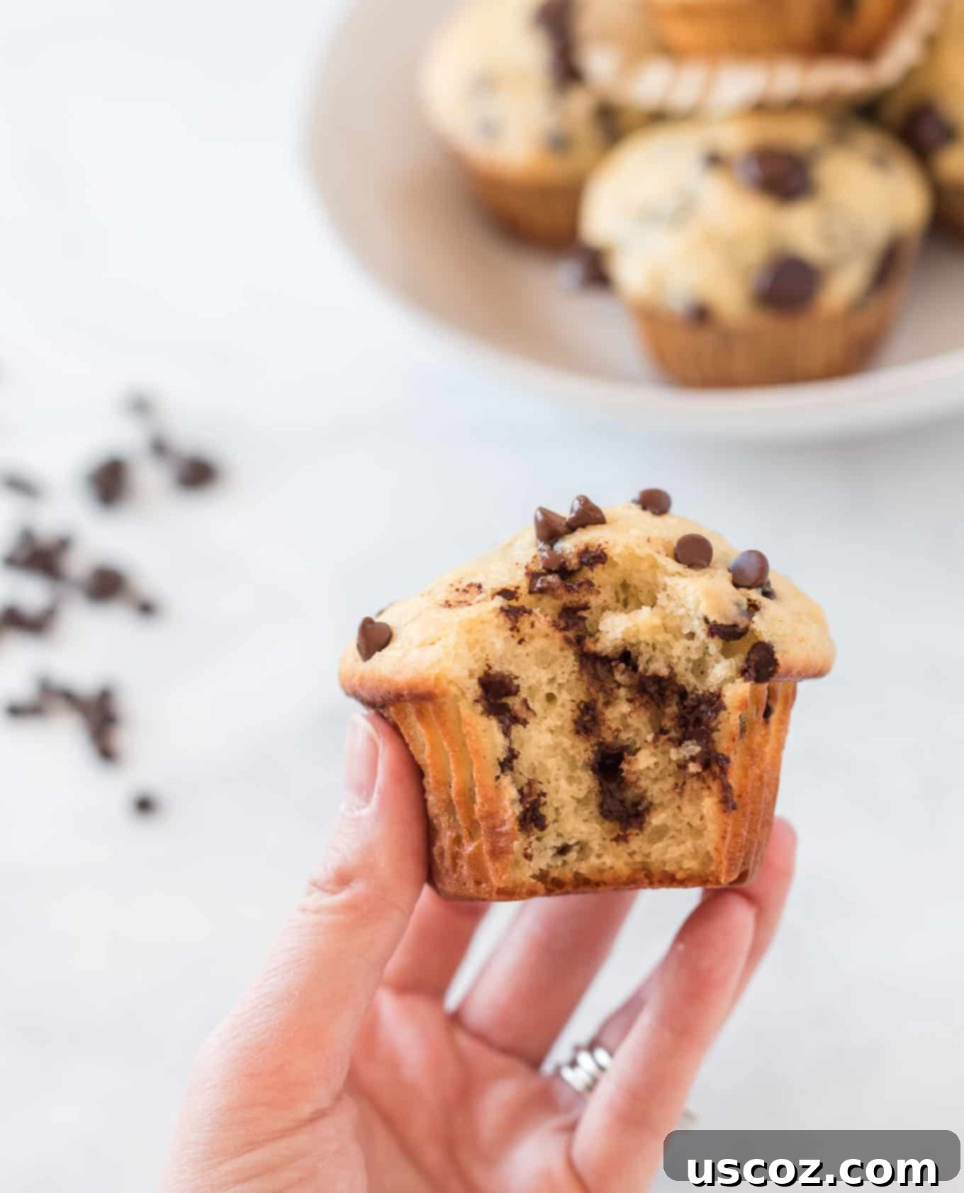 Moist Greek Yogurt Chocolate Chip Muffins 22 greek yogurt chocolate chip muffin with bite taken out
