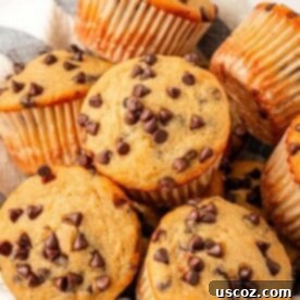 Moist Greek Yogurt Chocolate Chip Muffins 23 greek yogurt chocolate chip muffins