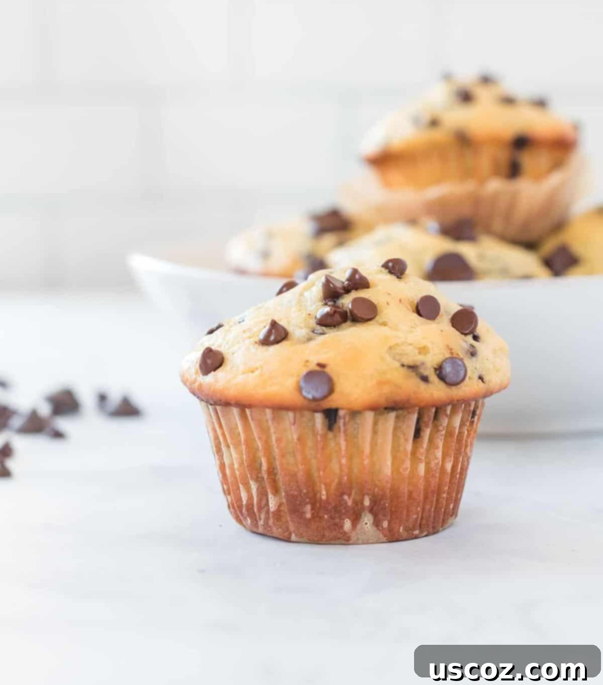 Moist Greek Yogurt Chocolate Chip Muffins 24 greek yogurt chocolate chip muffin