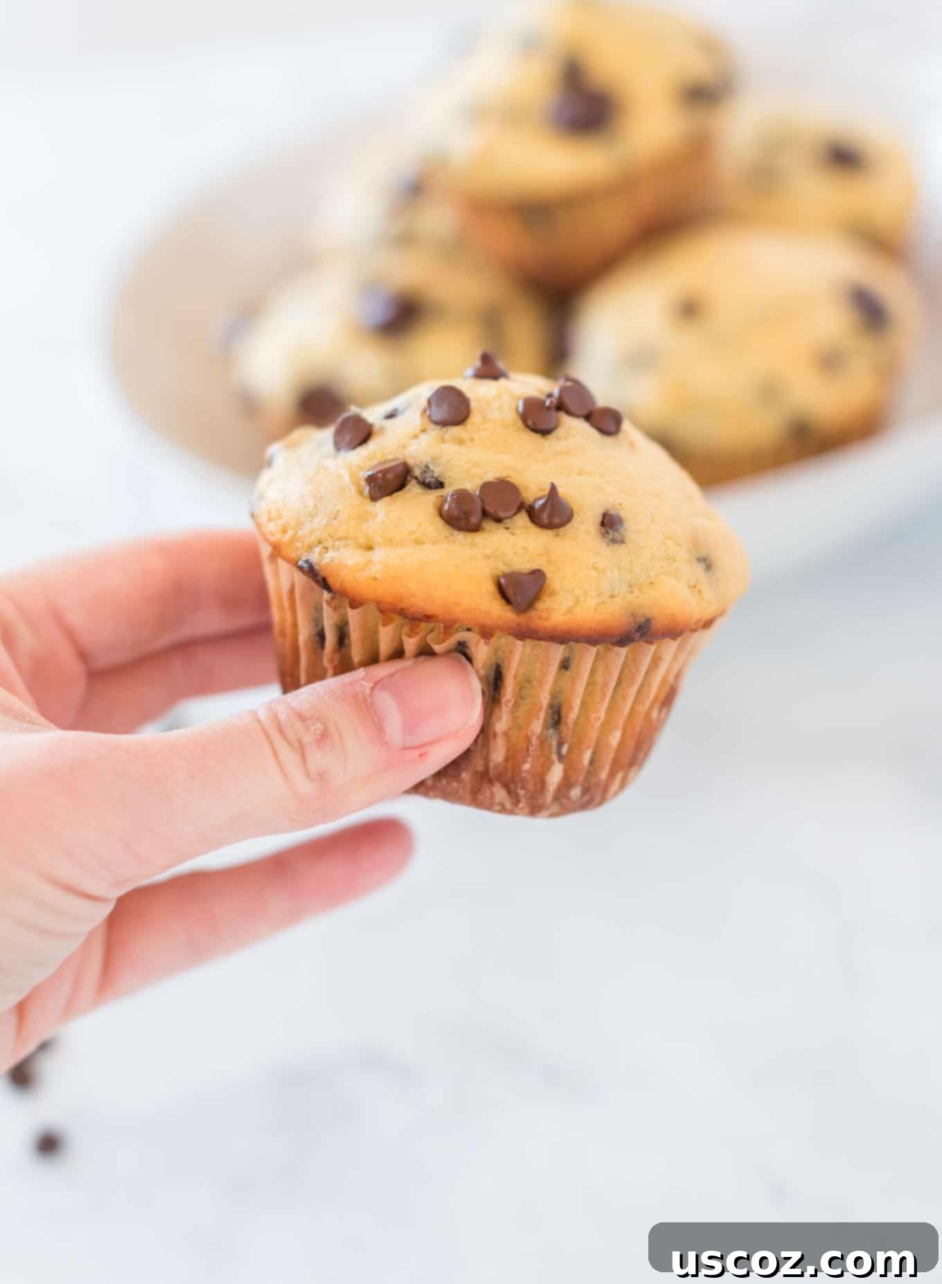 Moist Greek Yogurt Chocolate Chip Muffins 4 a hand holding a chocolate chip muffin