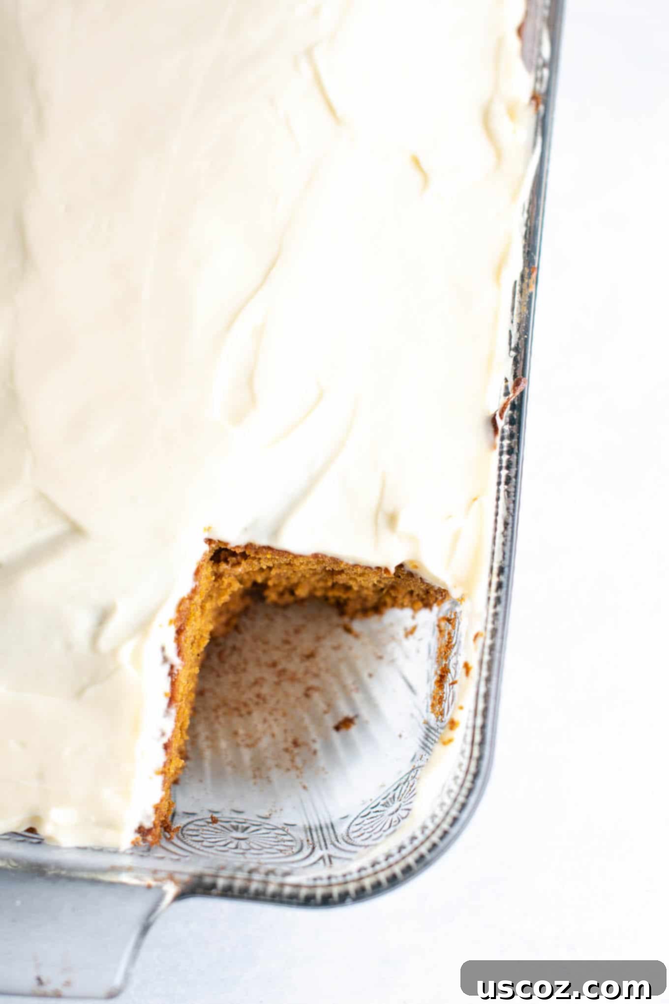 Decadent Pumpkin Cake with Cream Cheese Frosting 4 9 X 13 dish with pumpkin cake with a slice taken out, showing its moist texture