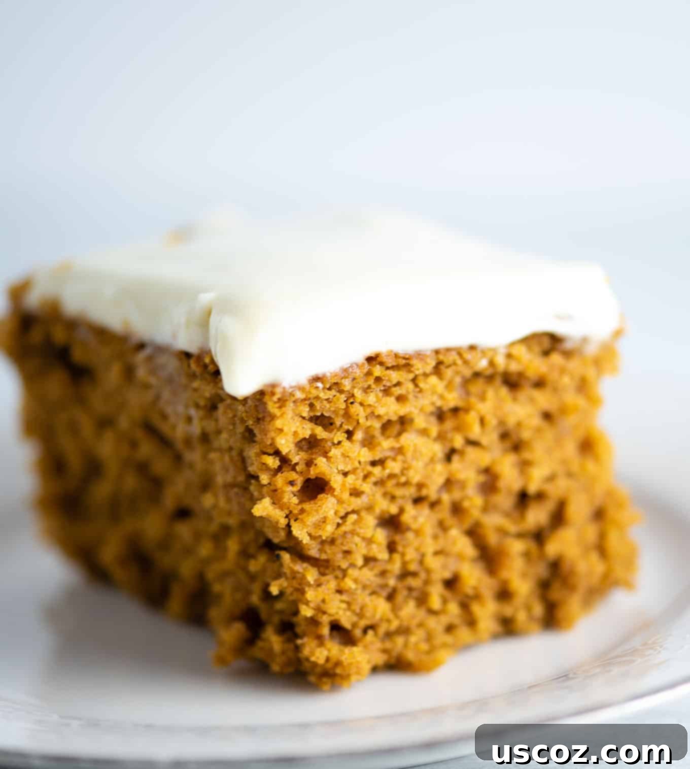 Decadent Pumpkin Cake with Cream Cheese Frosting 5 pumpkin cake batter from a side view, showing its rich color