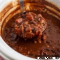 Easy Slow Cooker Vegetarian Chili 11 Ladle full of vegan chili
