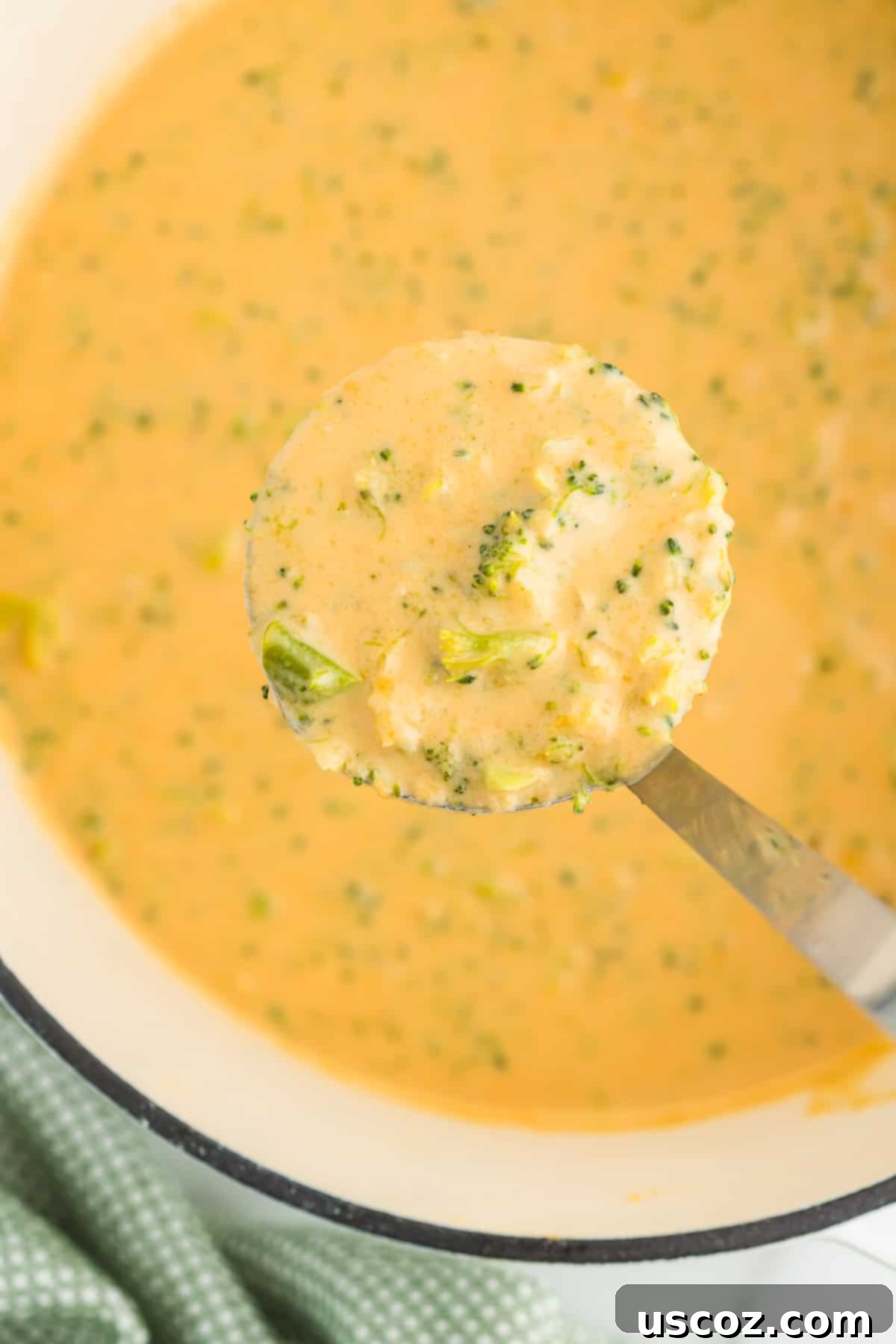 Velvety Broccoli Cheddar Soup 2 ladle full of broccoli cheese soup