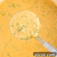 Velvety Broccoli Cheddar Soup 14 ladle full of broccoli cheese soup