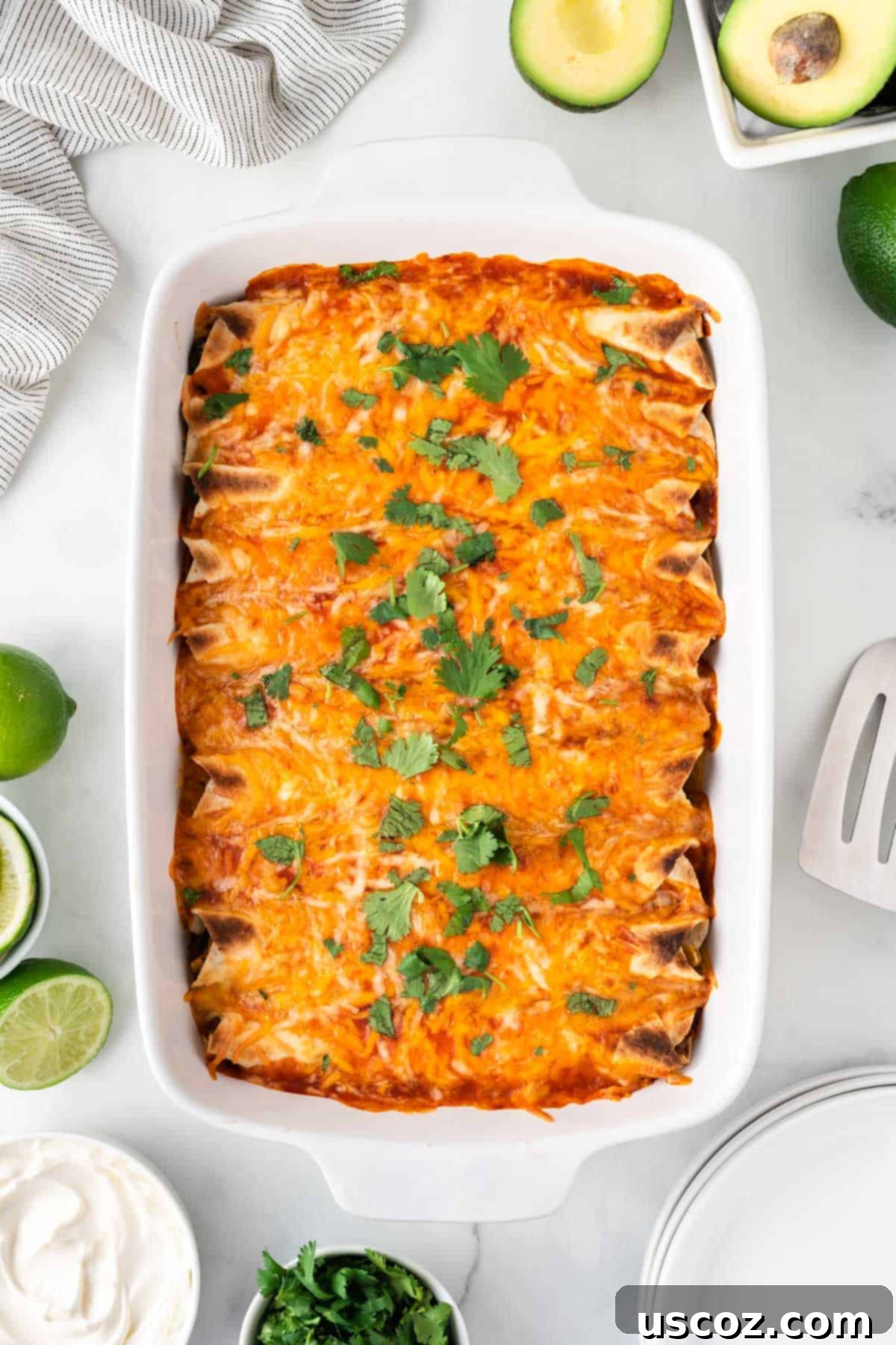 Irresistible Vegetarian Enchiladas 15 vegetarian enchiladas in the baking dish topped with cilantro