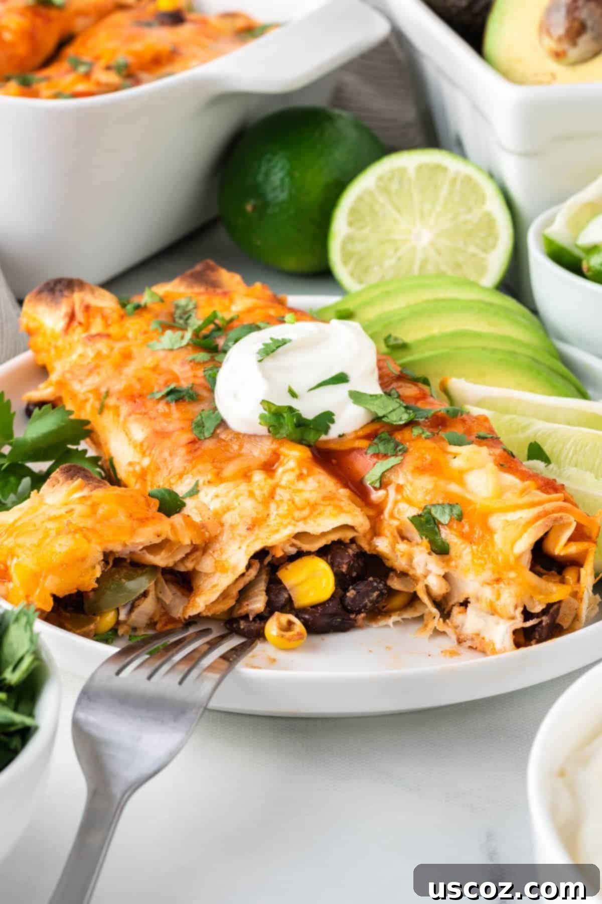 Irresistible Vegetarian Enchiladas 17 veggie enchiladas on a plate topped with sour cream and garnished with lime and avocado