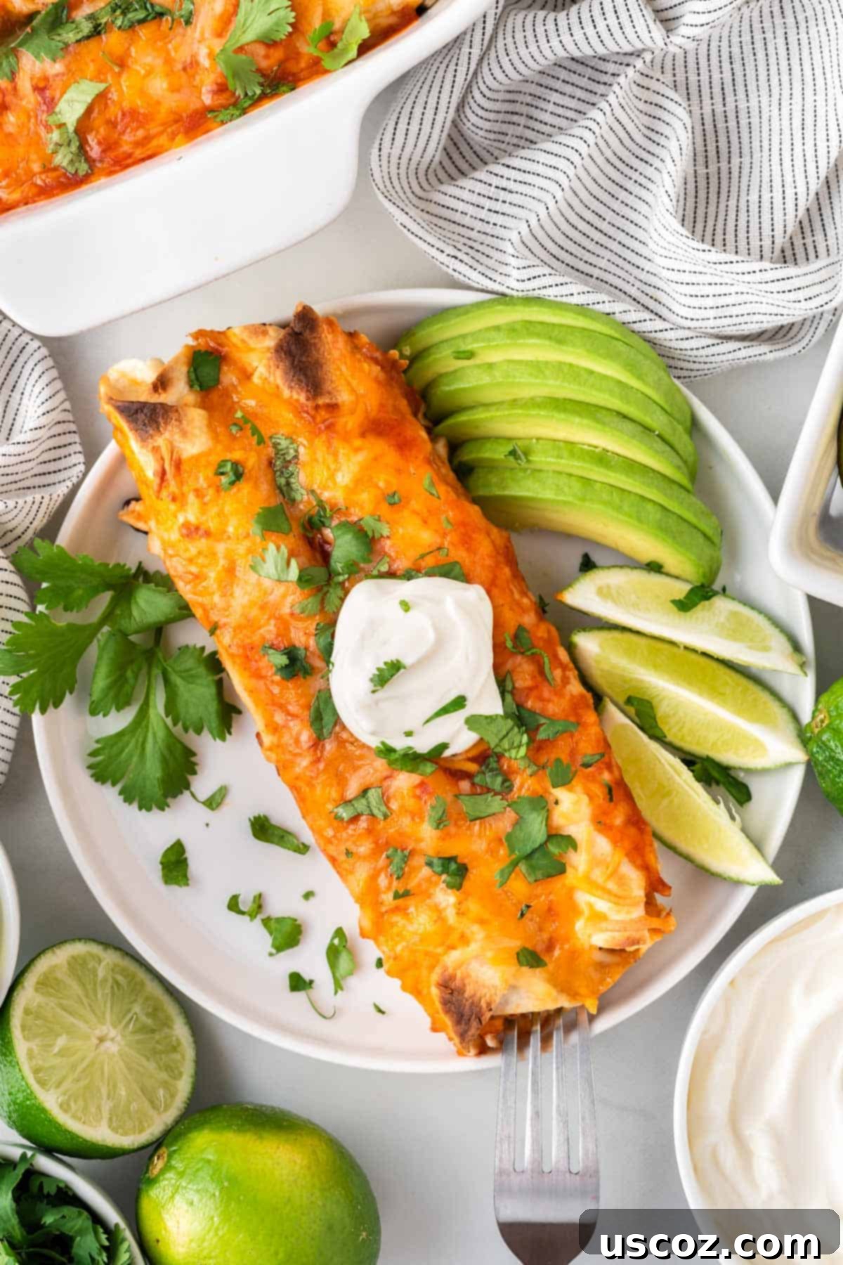 Irresistible Vegetarian Enchiladas 18 veggie enchiladas on a plate topped with sour cream and garnished with lime and avocado