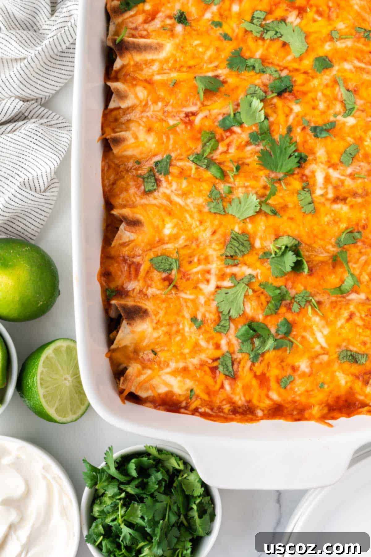 Irresistible Vegetarian Enchiladas 3 vegetarian enchiladas in the baking dish topped with cilantro