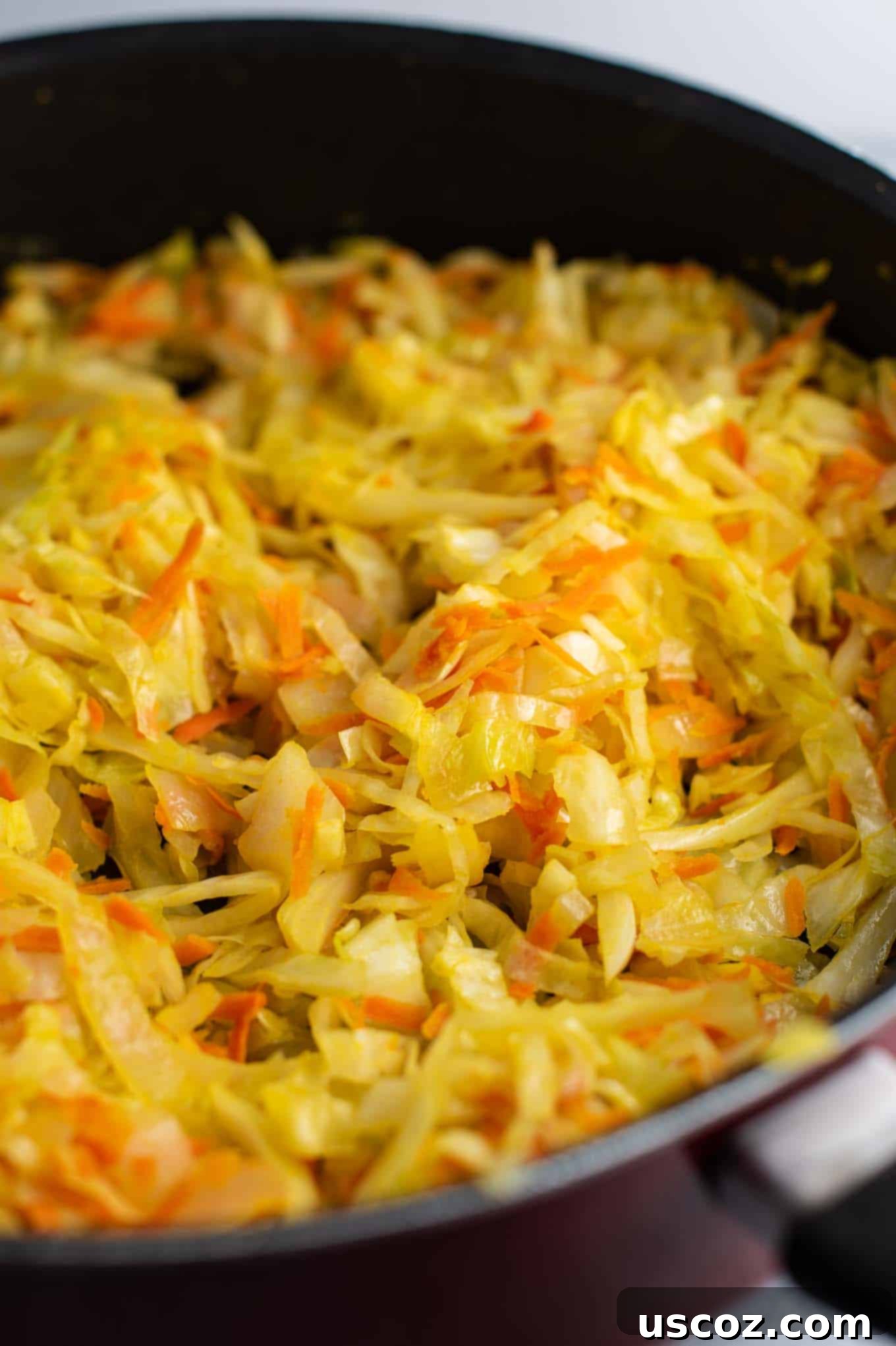 Savory Cabbage Stir Fry 11 cooked cabbage, carrots, onion, and ginger, tossed with noodles
