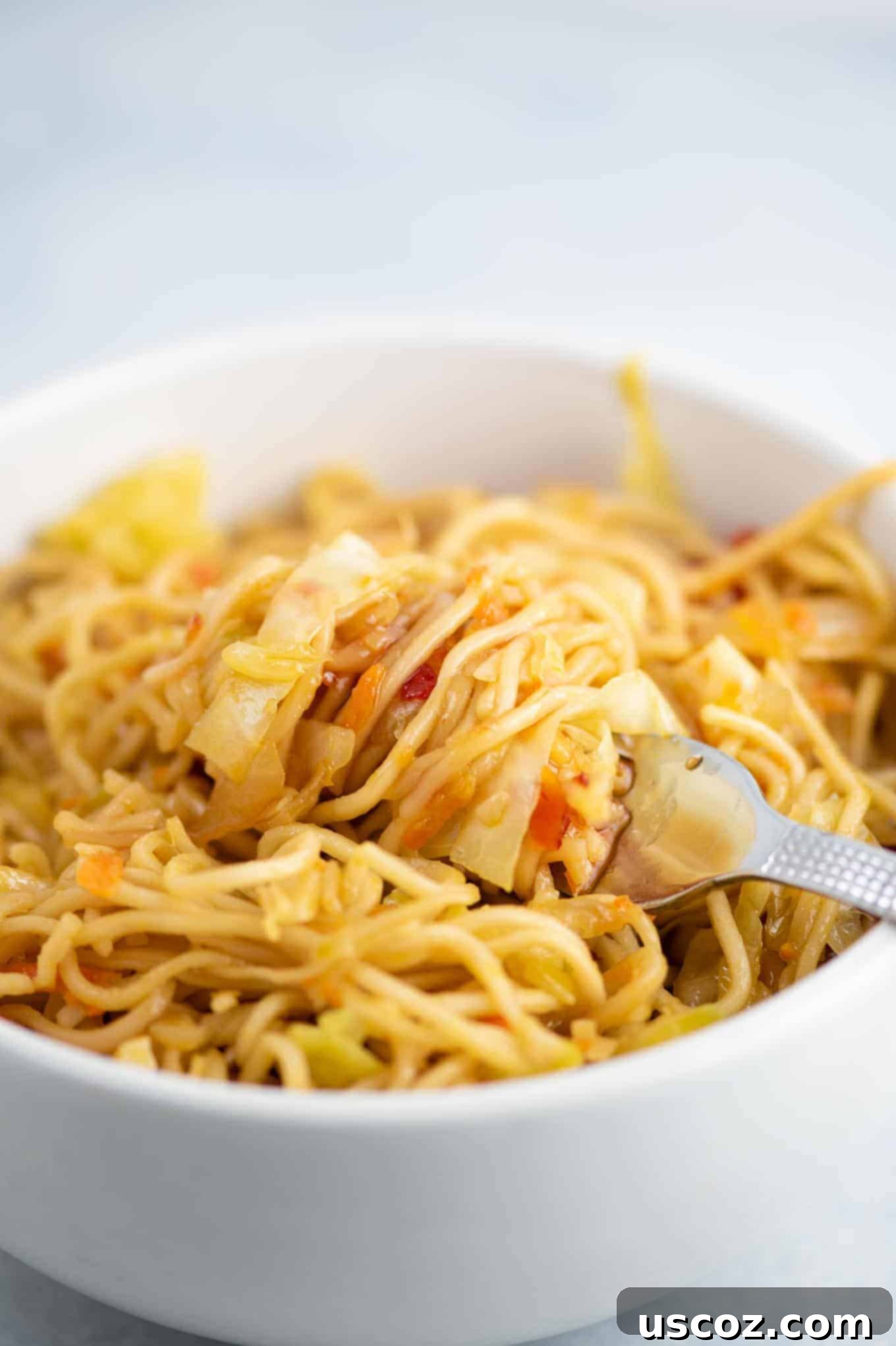 Savory Cabbage Stir Fry 3 stir fry in a bowl with a bite twirled around a fork, showcasing the noodles and vegetables