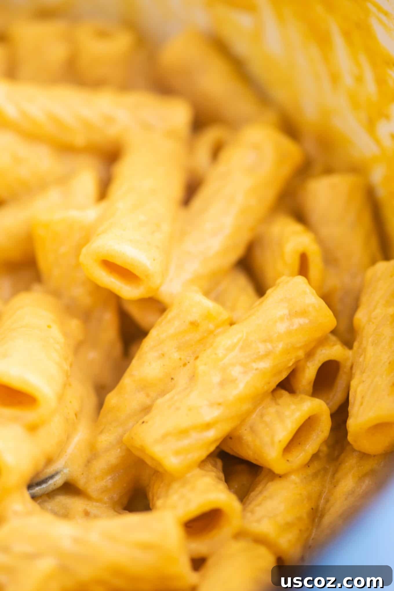 A bowl of rigatoni pasta richly coated in creamy pumpkin sauce, ready to be enjoyed.