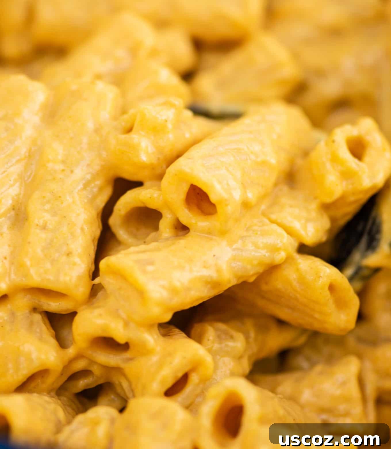 Close-up shot of rigatoni pasta with creamy pumpkin sauce dripping, garnished with fresh herbs.