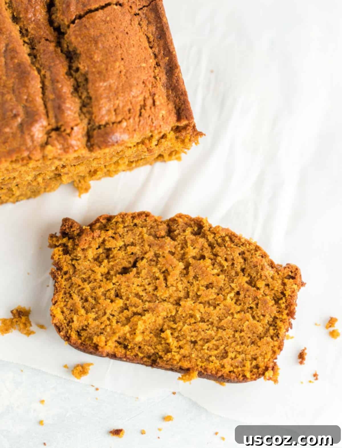 slice of pumpkin bread