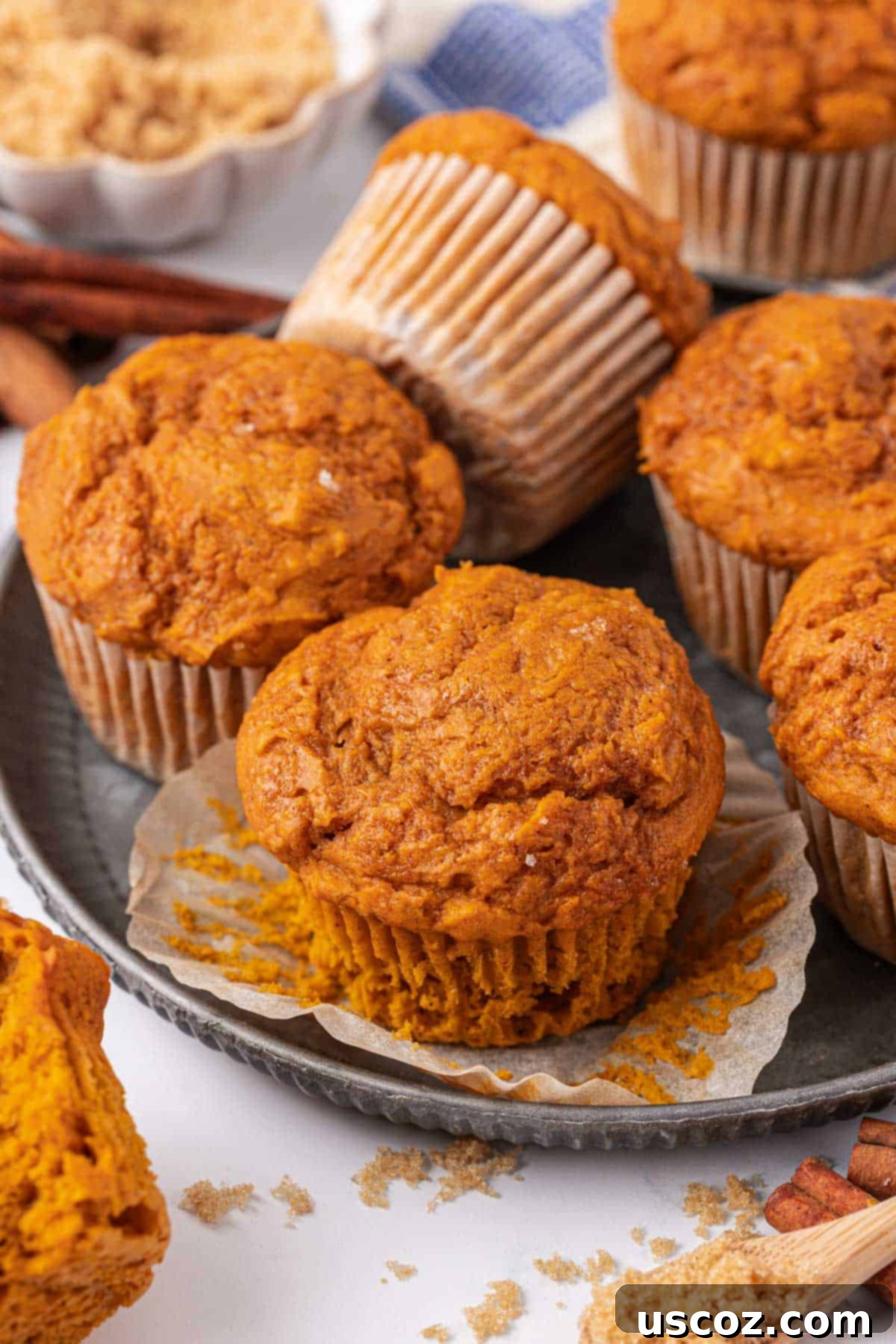 Effortless Cake Mix Pumpkin Muffins 2 perfectly baked cake mix pumpkin muffins on a cooling rack