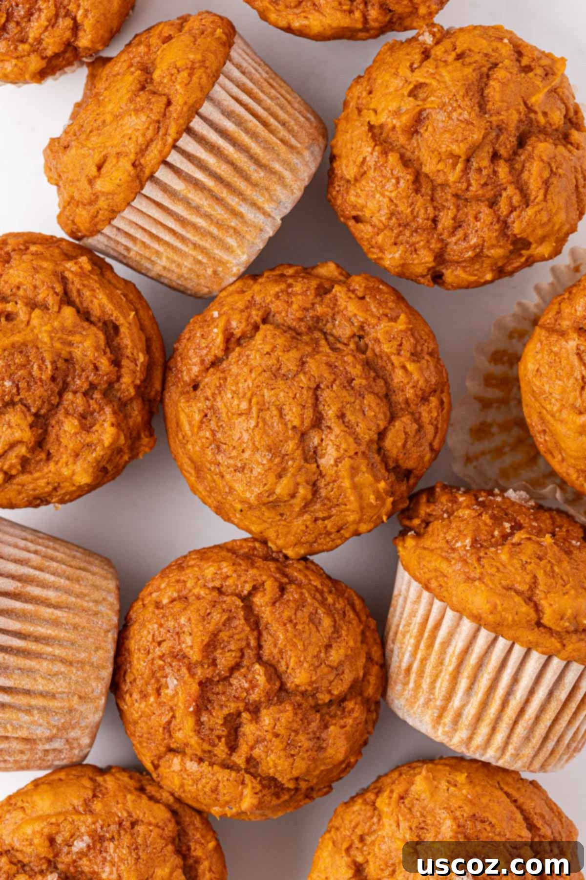 Effortless Cake Mix Pumpkin Muffins 12 warm cake mix pumpkin muffins with a delightful golden brown top